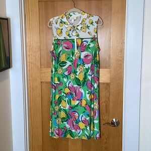 Watermelon & Lemon Retro Dress